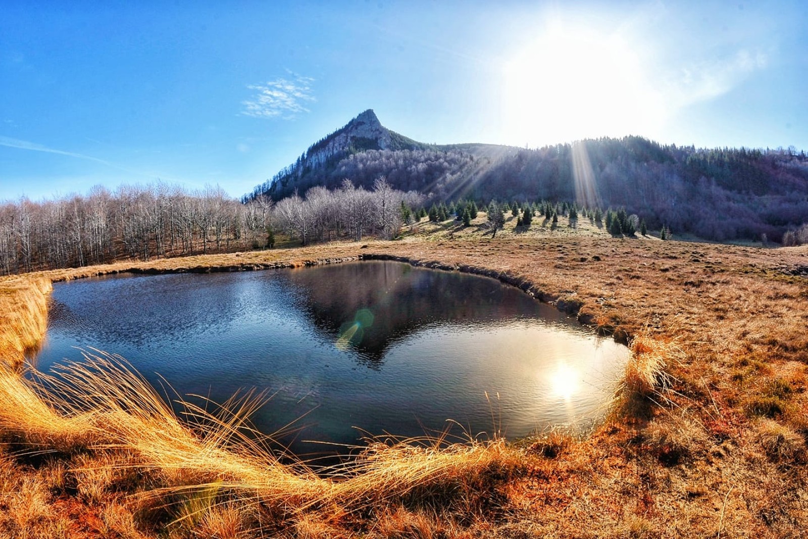 TĂURILE CHENDROAIEI