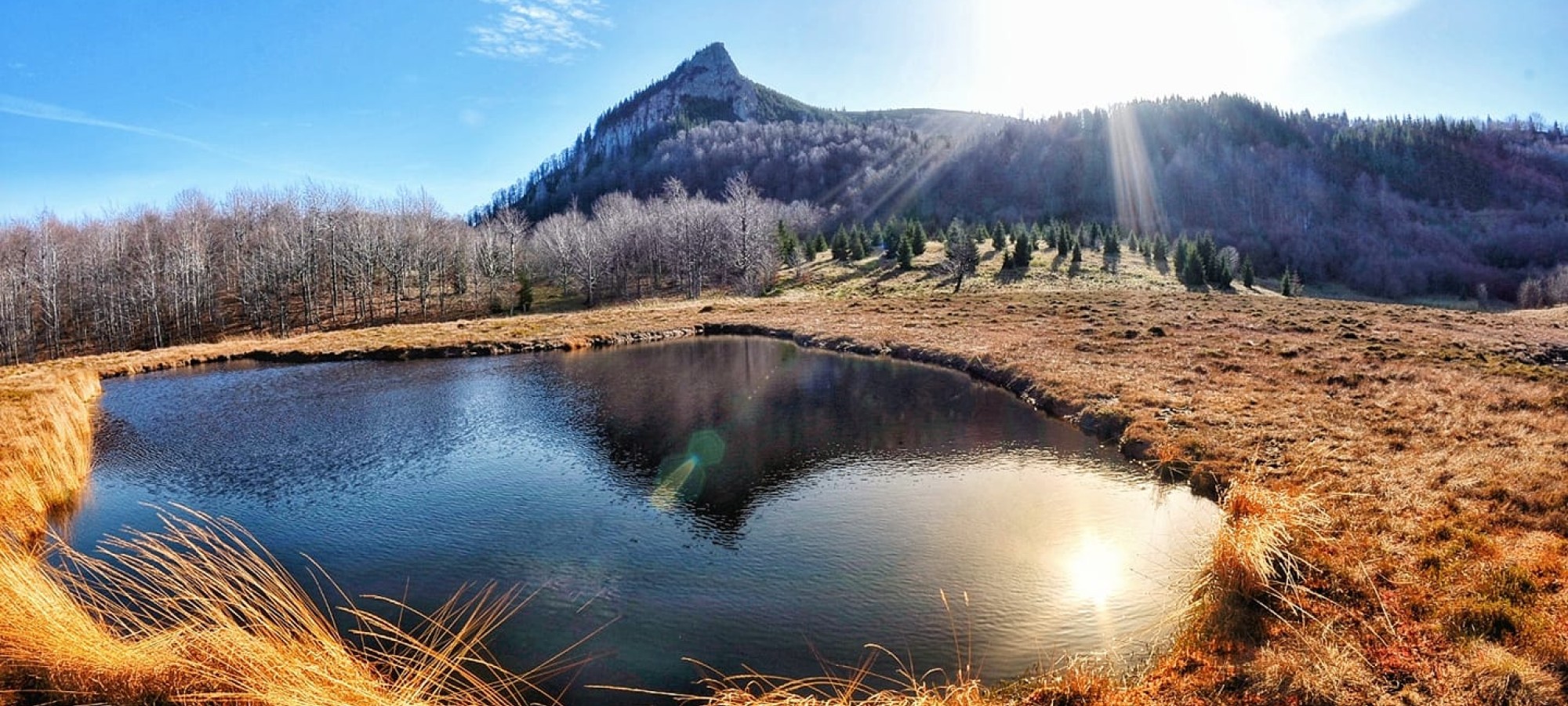 TĂURILE CHENDROAIEI