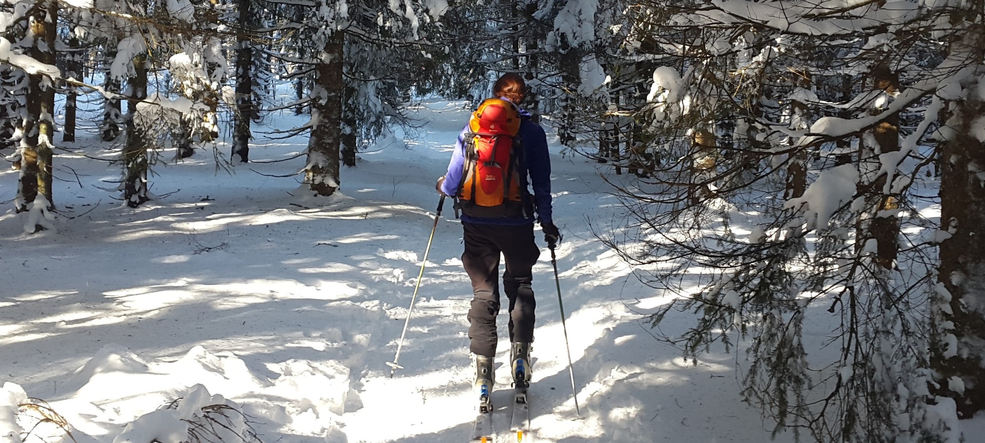 TURE GHIDATE PE SCHIURI