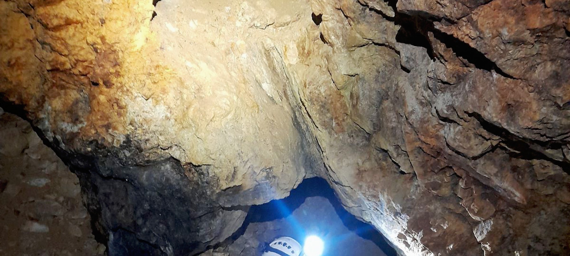 TURE GHIDATE ÎN PARCUL MINELOR