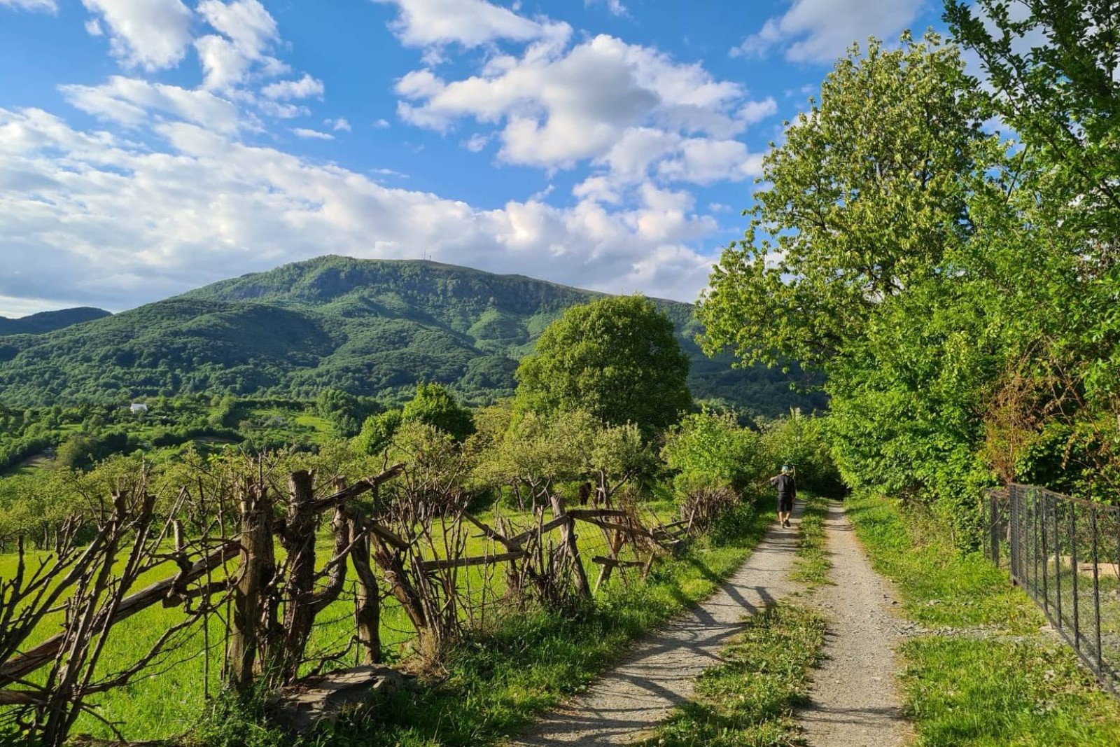 TRASEU CROS 10K LACUL ALBASTRU - CHIUZBAIA