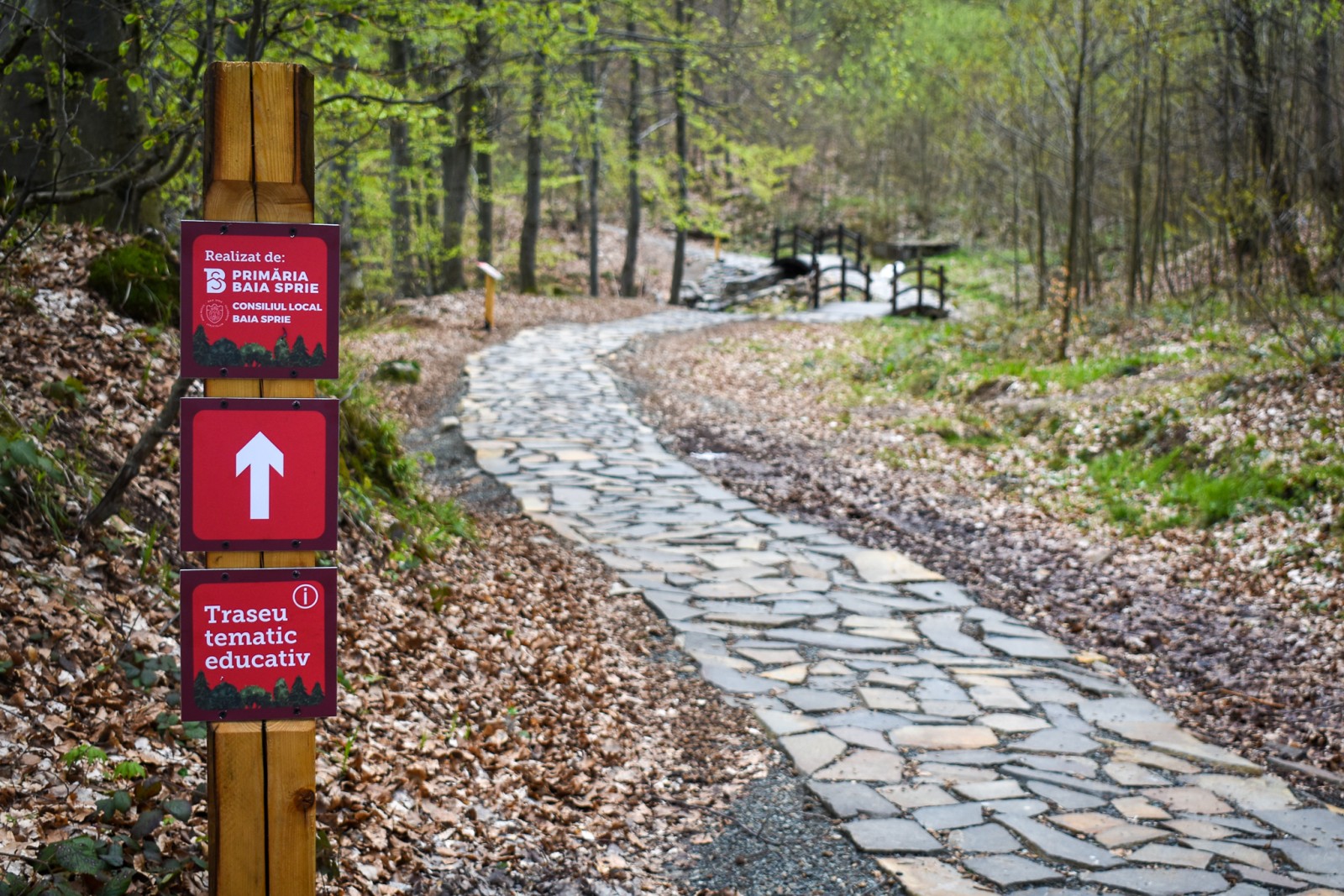EDUCATIONAL THEMED TRAIL
