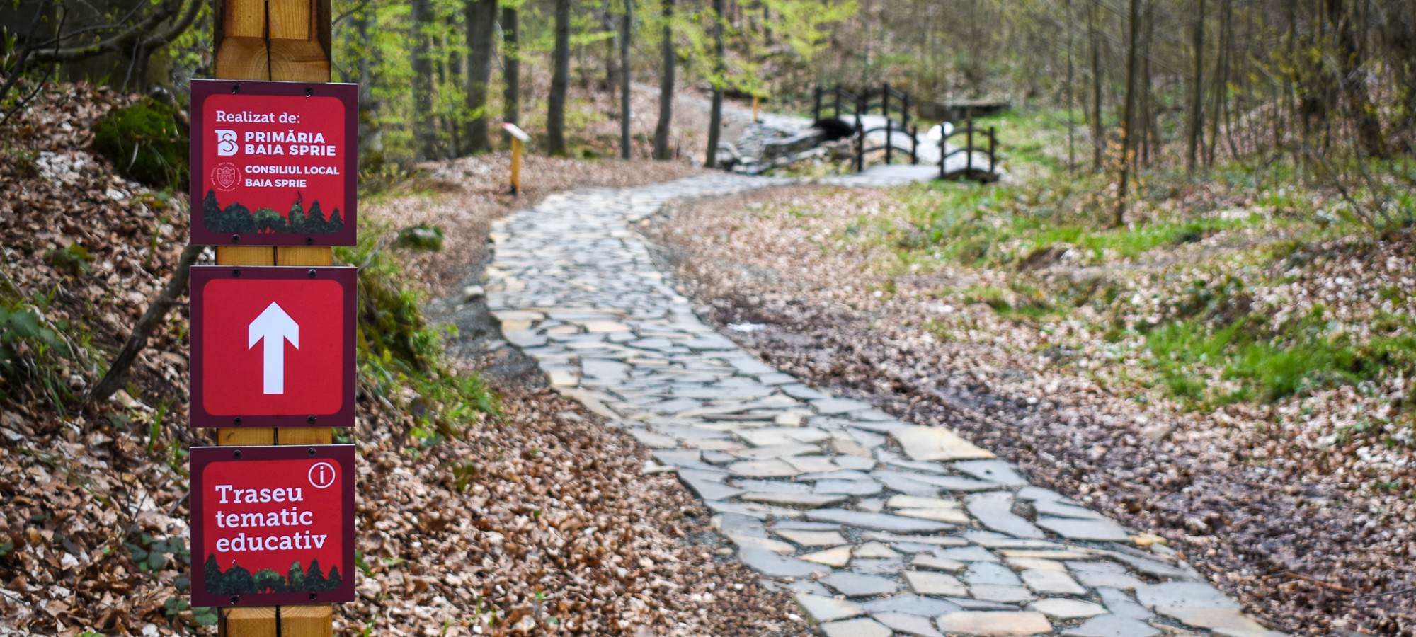 EDUCATIONAL THEMED TRAIL