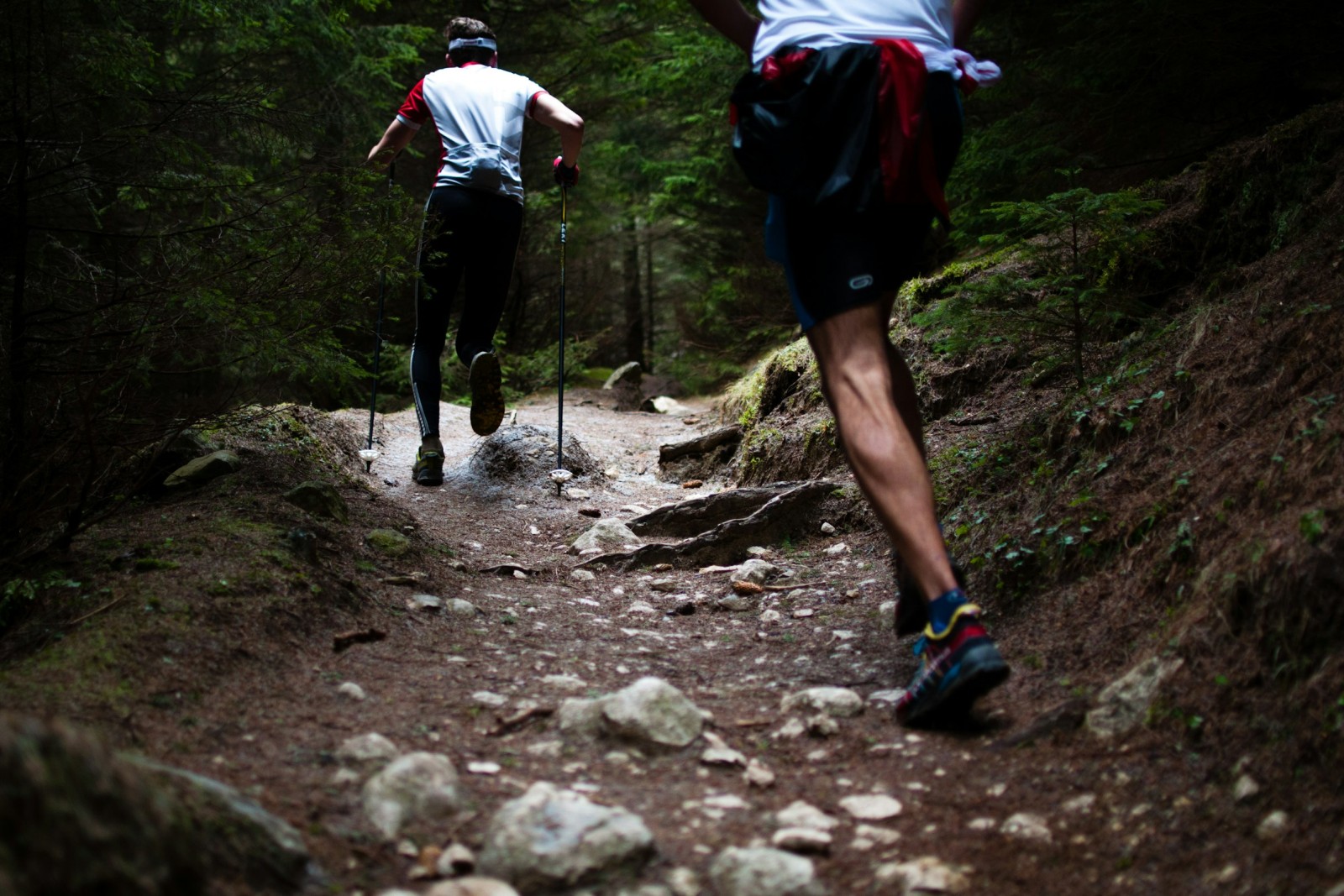 10K CROSS MOGOSA RACE RUNNING TRAIL
