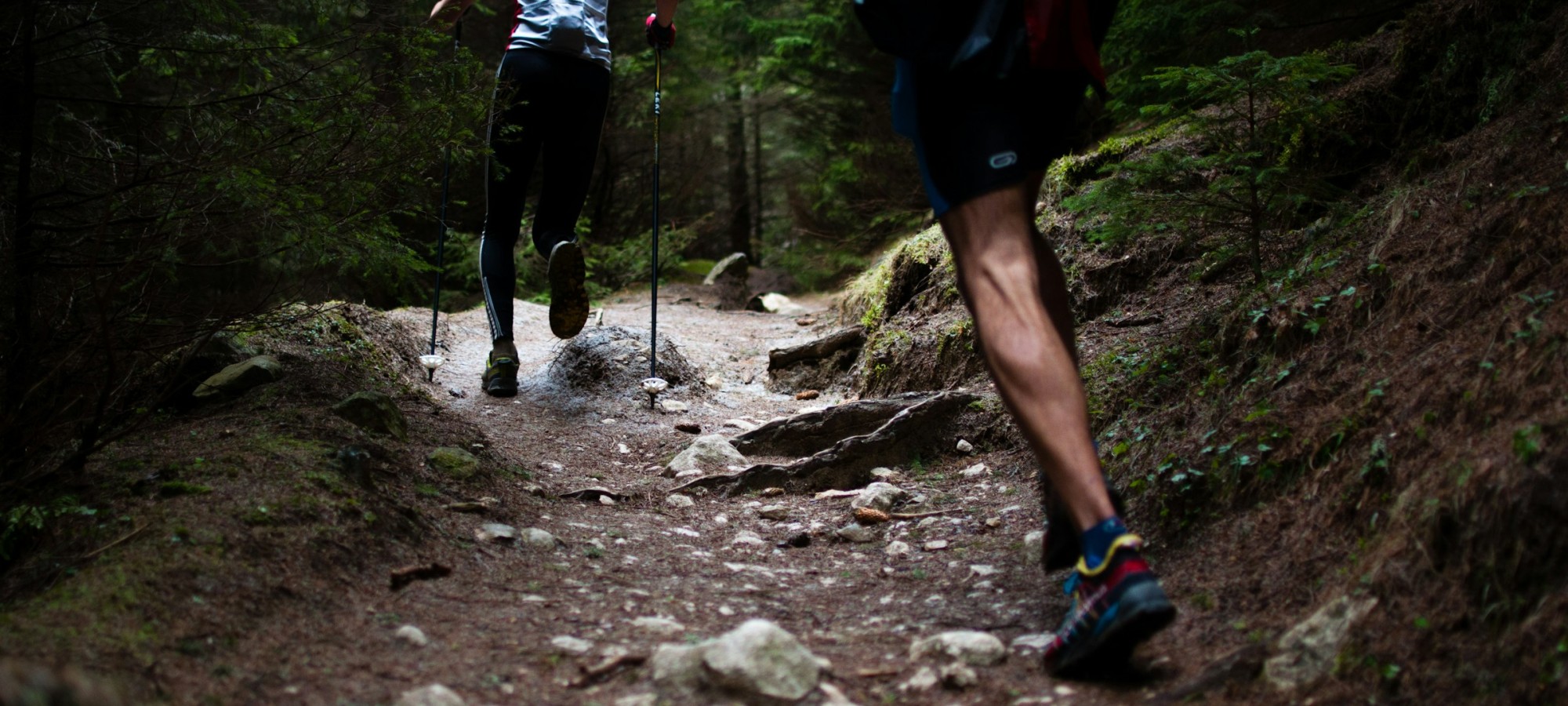 10K CROSS MOGOSA RACE RUNNING TRAIL